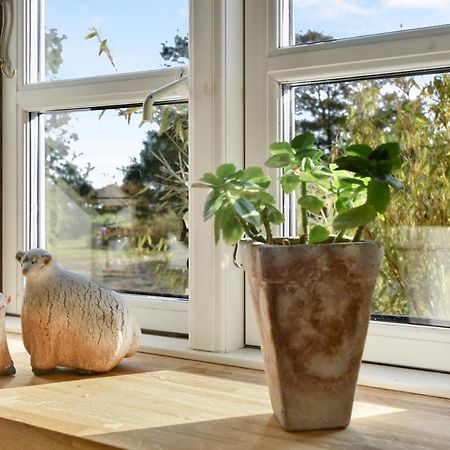 Drivvejens B&B Gredstedbro Exteriér fotografie